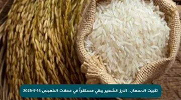 تثبيت الأسعار.. الأرز الشعير يبقى مستقراً في محلات الخميس 18-9-2025
